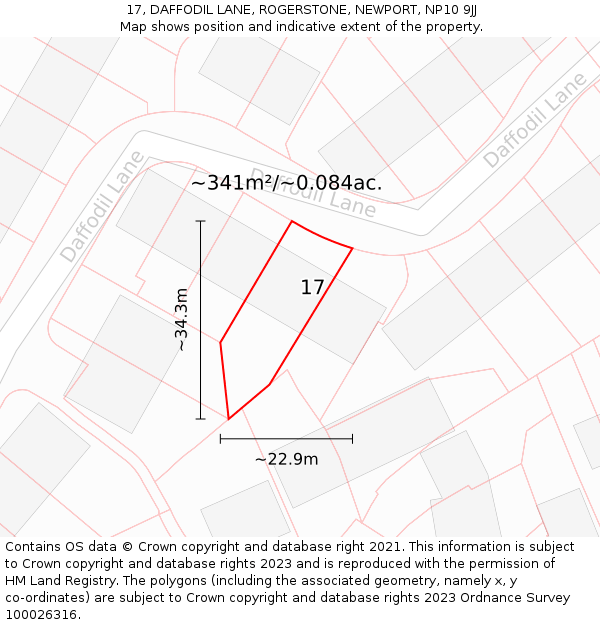 17, DAFFODIL LANE, ROGERSTONE, NEWPORT, NP10 9JJ: Plot and title map