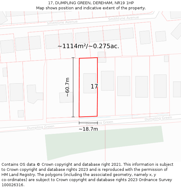 17, DUMPLING GREEN, DEREHAM, NR19 1HP: Plot and title map