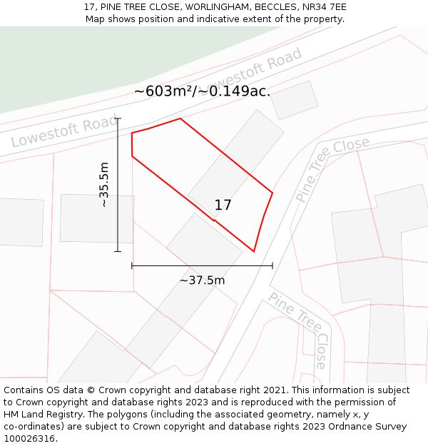 17, PINE TREE CLOSE, WORLINGHAM, BECCLES, NR34 7EE: Plot and title map