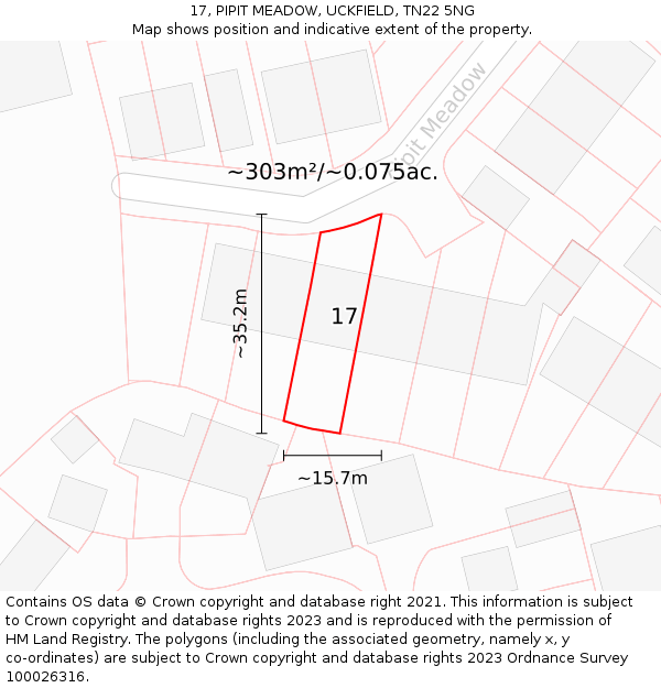 17, PIPIT MEADOW, UCKFIELD, TN22 5NG: Plot and title map