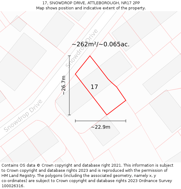 17, SNOWDROP DRIVE, ATTLEBOROUGH, NR17 2PP: Plot and title map