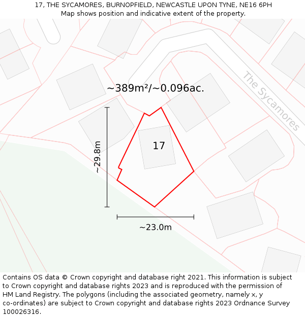 17, THE SYCAMORES, BURNOPFIELD, NEWCASTLE UPON TYNE, NE16 6PH: Plot and title map