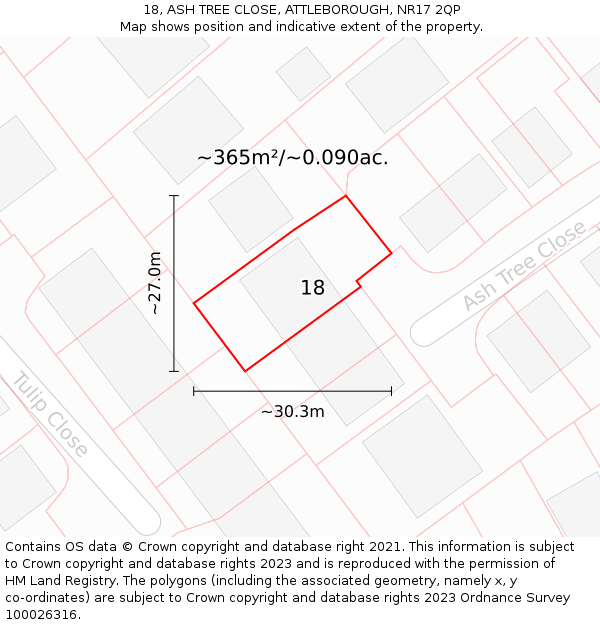 18, ASH TREE CLOSE, ATTLEBOROUGH, NR17 2QP: Plot and title map