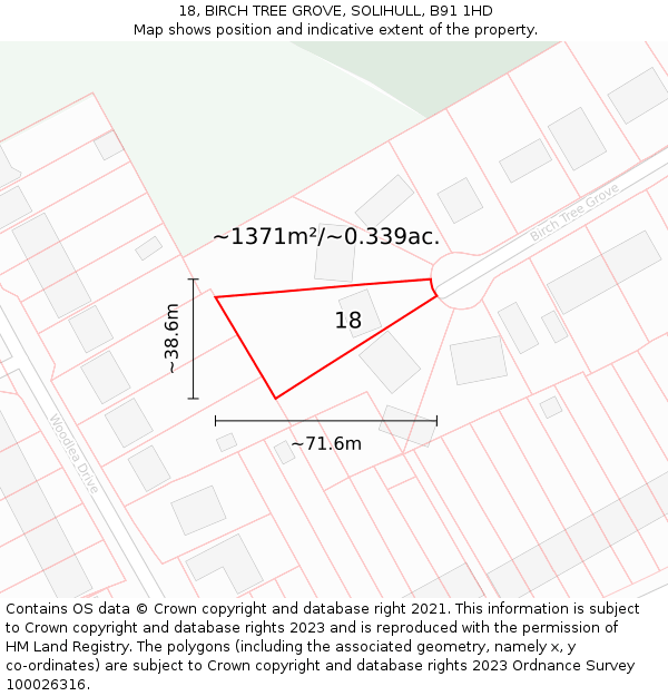 18, BIRCH TREE GROVE, SOLIHULL, B91 1HD: Plot and title map