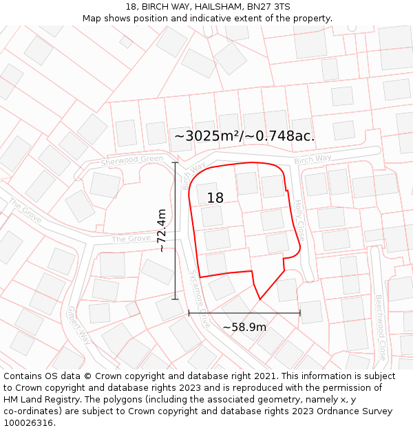 18, BIRCH WAY, HAILSHAM, BN27 3TS: Plot and title map