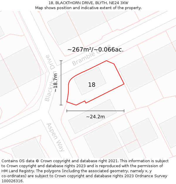 18, BLACKTHORN DRIVE, BLYTH, NE24 3XW: Plot and title map