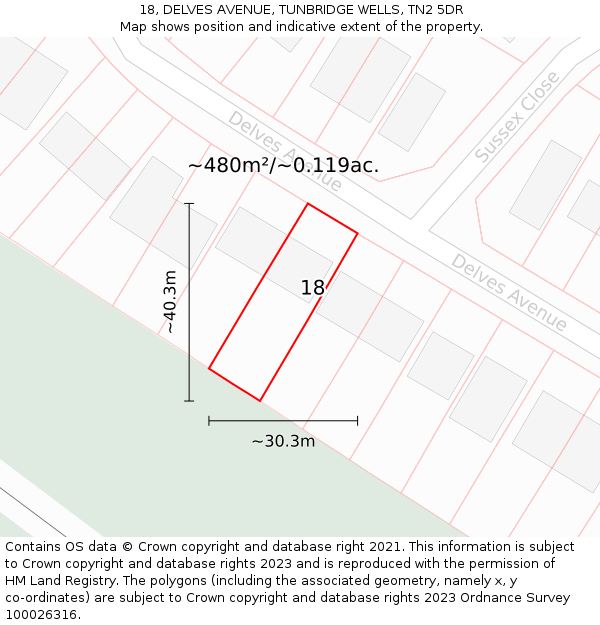 18, DELVES AVENUE, TUNBRIDGE WELLS, TN2 5DR: Plot and title map