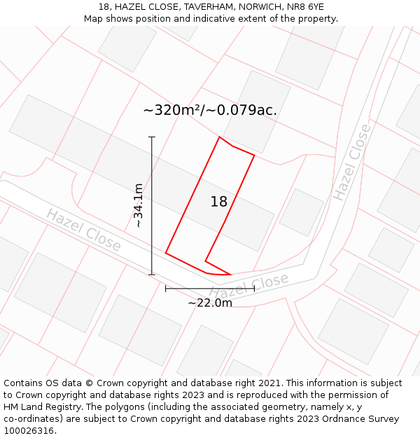 18, HAZEL CLOSE, TAVERHAM, NORWICH, NR8 6YE: Plot and title map