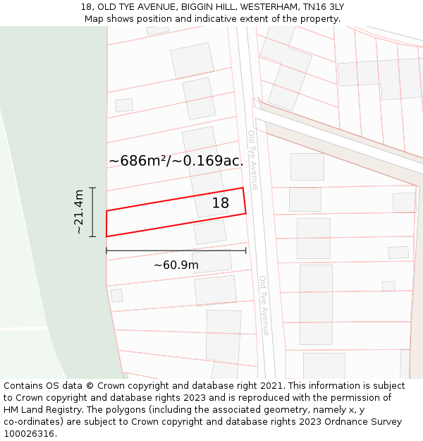 18, OLD TYE AVENUE, BIGGIN HILL, WESTERHAM, TN16 3LY: Plot and title map