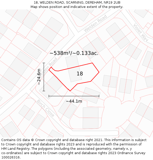 18, WELDEN ROAD, SCARNING, DEREHAM, NR19 2UB: Plot and title map