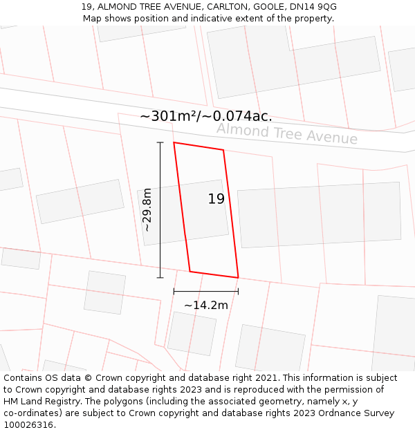 19, ALMOND TREE AVENUE, CARLTON, GOOLE, DN14 9QG: Plot and title map