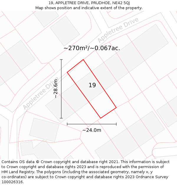 19, APPLETREE DRIVE, PRUDHOE, NE42 5QJ: Plot and title map