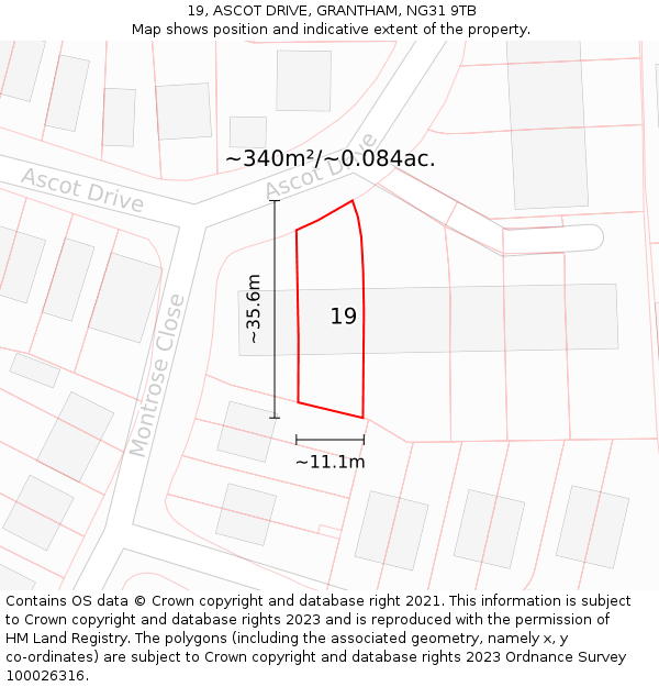 19, ASCOT DRIVE, GRANTHAM, NG31 9TB: Plot and title map