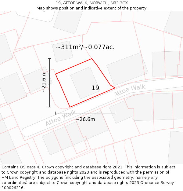 19, ATTOE WALK, NORWICH, NR3 3GX: Plot and title map