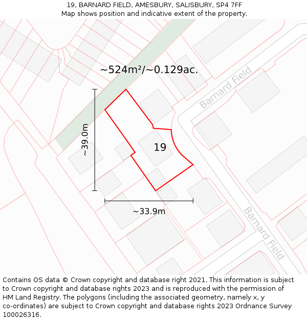 19, BARNARD FIELD, AMESBURY, SALISBURY, SP4 7FF: Plot and title map