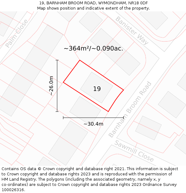 19, BARNHAM BROOM ROAD, WYMONDHAM, NR18 0DF: Plot and title map