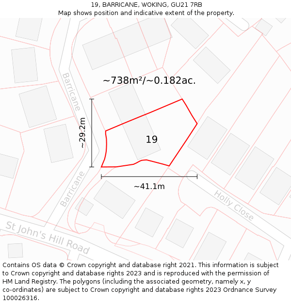 19, BARRICANE, WOKING, GU21 7RB: Plot and title map