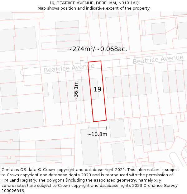 19, BEATRICE AVENUE, DEREHAM, NR19 1AQ: Plot and title map