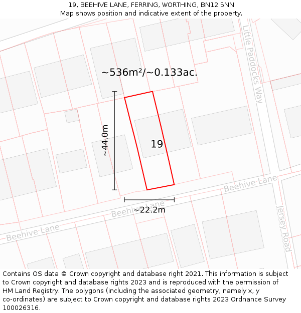 19, BEEHIVE LANE, FERRING, WORTHING, BN12 5NN: Plot and title map