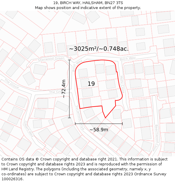 19, BIRCH WAY, HAILSHAM, BN27 3TS: Plot and title map