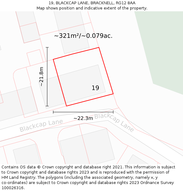 19, BLACKCAP LANE, BRACKNELL, RG12 8AA: Plot and title map