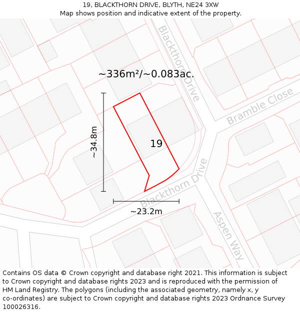 19, BLACKTHORN DRIVE, BLYTH, NE24 3XW: Plot and title map