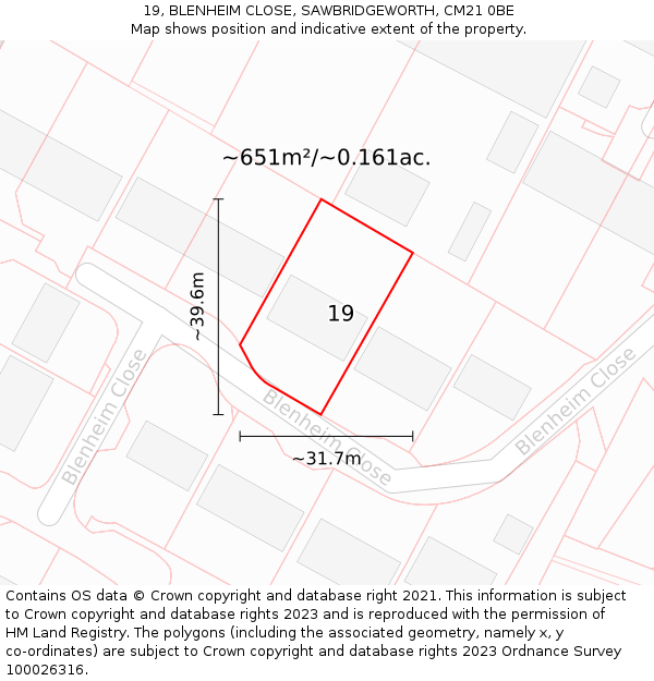 19, BLENHEIM CLOSE, SAWBRIDGEWORTH, CM21 0BE: Plot and title map