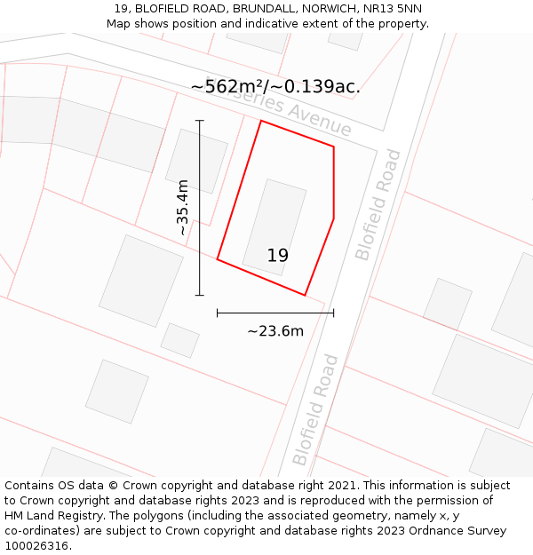 19, BLOFIELD ROAD, BRUNDALL, NORWICH, NR13 5NN: Plot and title map