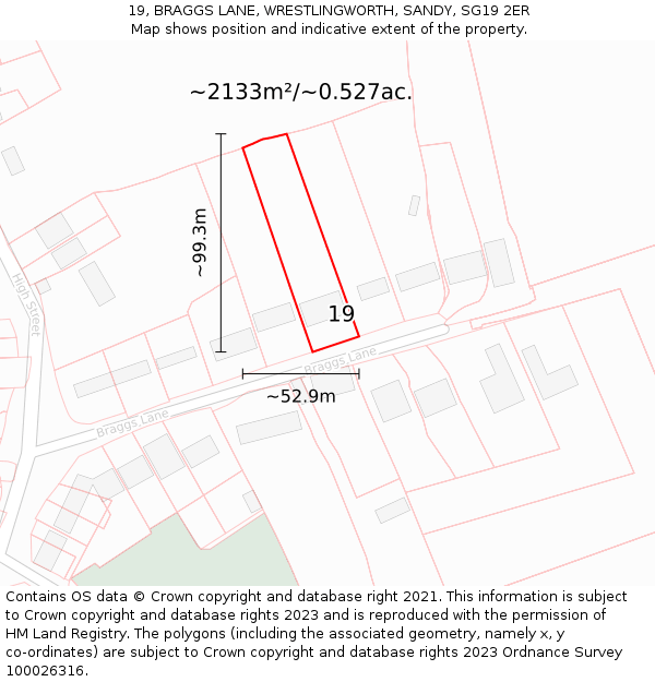 19, BRAGGS LANE, WRESTLINGWORTH, SANDY, SG19 2ER: Plot and title map