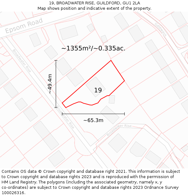 19, BROADWATER RISE, GUILDFORD, GU1 2LA: Plot and title map