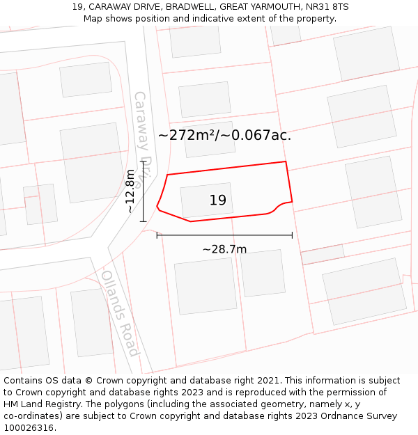 19, CARAWAY DRIVE, BRADWELL, GREAT YARMOUTH, NR31 8TS: Plot and title map