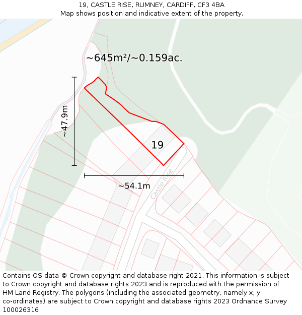 19, CASTLE RISE, RUMNEY, CARDIFF, CF3 4BA: Plot and title map