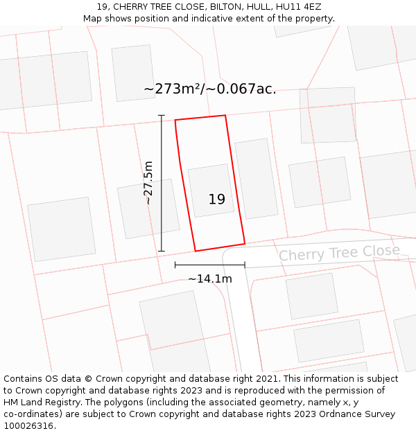 19, CHERRY TREE CLOSE, BILTON, HULL, HU11 4EZ: Plot and title map