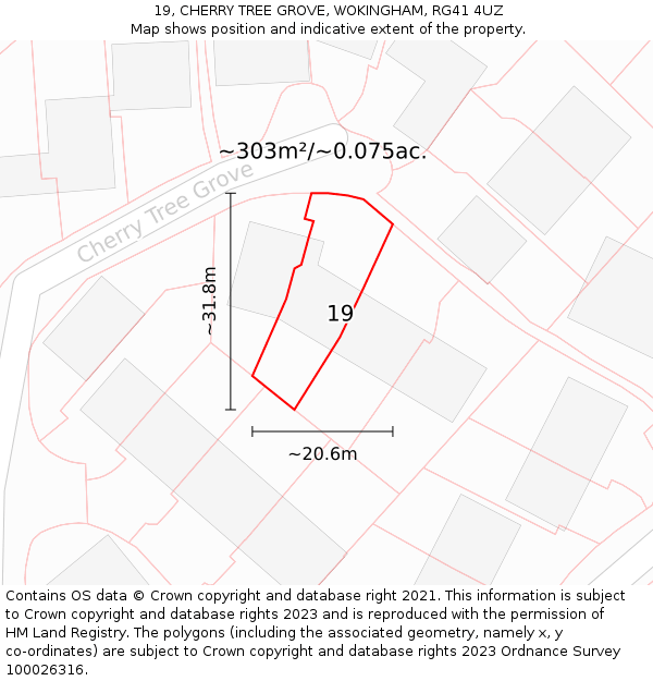 19, CHERRY TREE GROVE, WOKINGHAM, RG41 4UZ: Plot and title map