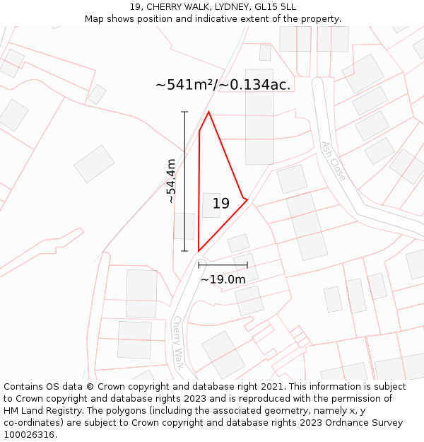 19, CHERRY WALK, LYDNEY, GL15 5LL: Plot and title map