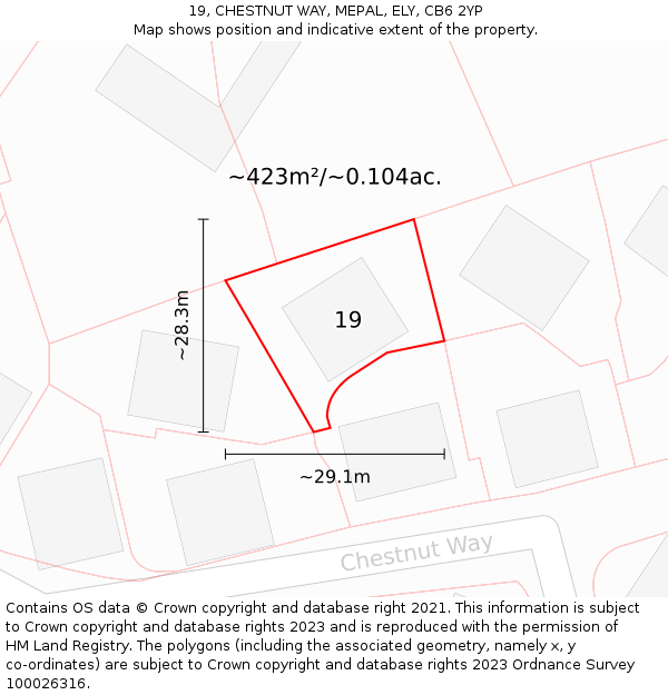 19, CHESTNUT WAY, MEPAL, ELY, CB6 2YP: Plot and title map