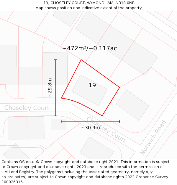 19, CHOSELEY COURT, WYMONDHAM, NR18 0NR: Plot and title map