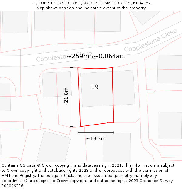 19, COPPLESTONE CLOSE, WORLINGHAM, BECCLES, NR34 7SF: Plot and title map