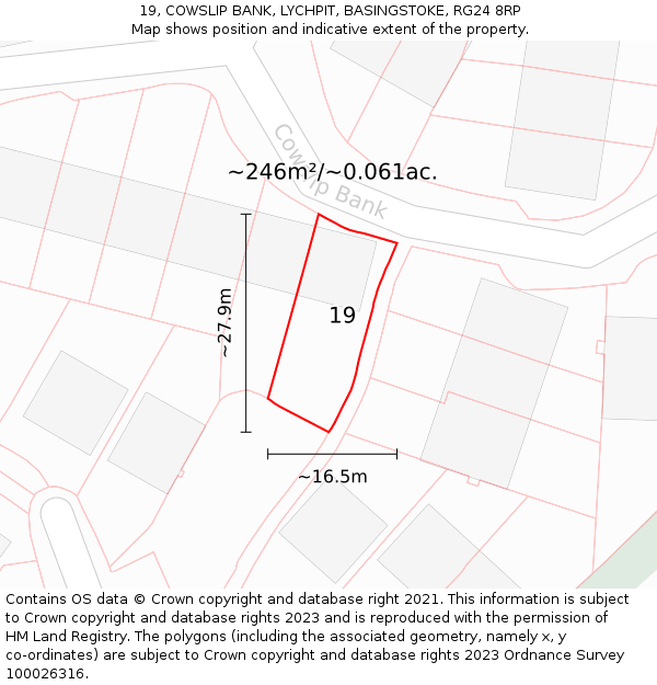 19, COWSLIP BANK, LYCHPIT, BASINGSTOKE, RG24 8RP: Plot and title map