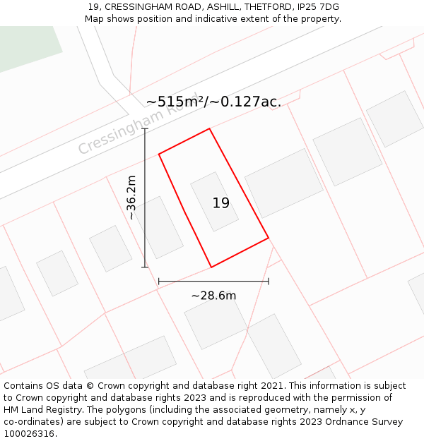 19, CRESSINGHAM ROAD, ASHILL, THETFORD, IP25 7DG: Plot and title map