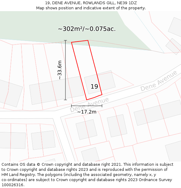 19, DENE AVENUE, ROWLANDS GILL, NE39 1DZ: Plot and title map