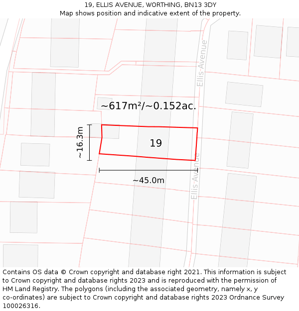 19, ELLIS AVENUE, WORTHING, BN13 3DY: Plot and title map