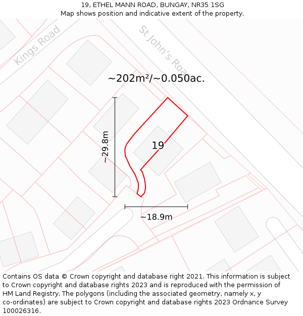 19, ETHEL MANN ROAD, BUNGAY, NR35 1SG: Plot and title map