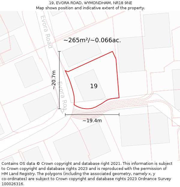 19, EVORA ROAD, WYMONDHAM, NR18 9NE: Plot and title map