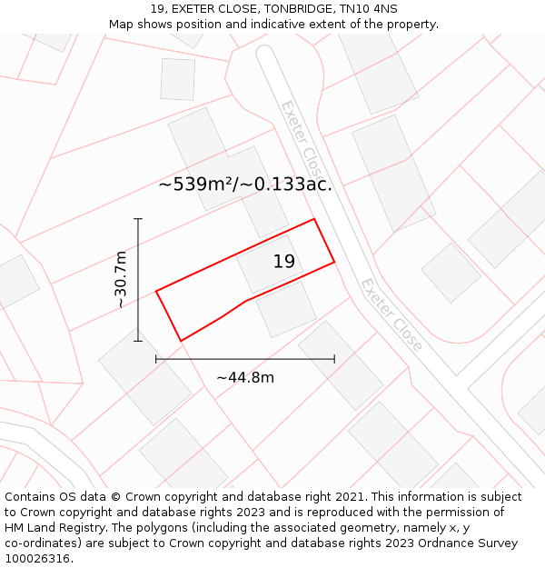 19, EXETER CLOSE, TONBRIDGE, TN10 4NS: Plot and title map