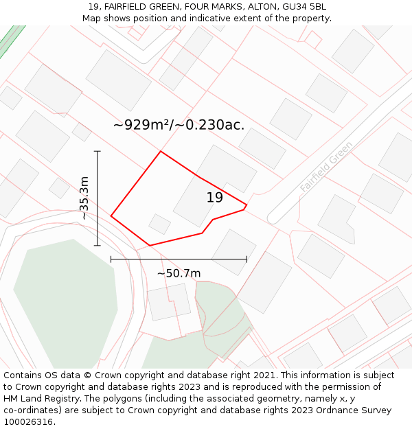 19, FAIRFIELD GREEN, FOUR MARKS, ALTON, GU34 5BL: Plot and title map
