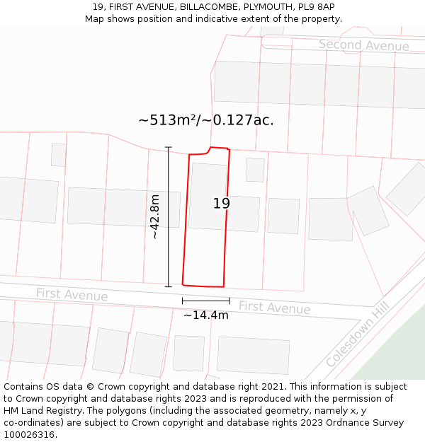 19, FIRST AVENUE, BILLACOMBE, PLYMOUTH, PL9 8AP: Plot and title map