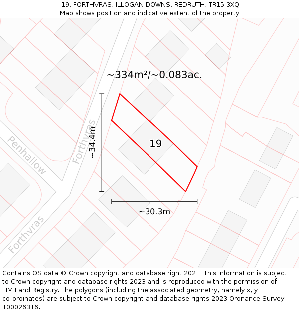 19, FORTHVRAS, ILLOGAN DOWNS, REDRUTH, TR15 3XQ: Plot and title map