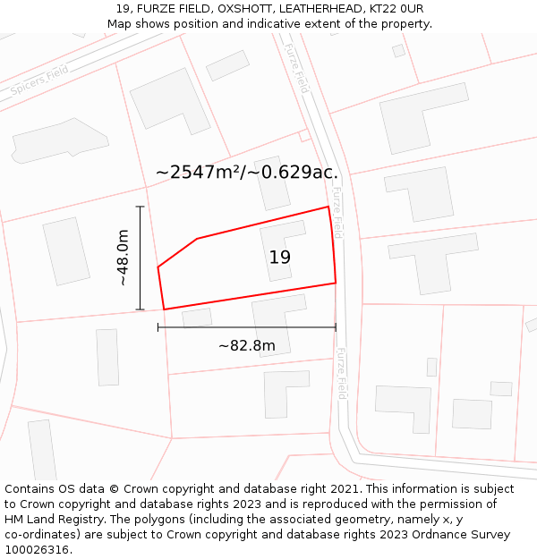 19, FURZE FIELD, OXSHOTT, LEATHERHEAD, KT22 0UR: Plot and title map