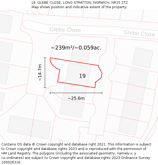 19, GLEBE CLOSE, LONG STRATTON, NORWICH, NR15 2TZ: Plot and title map